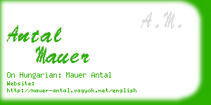 antal mauer business card